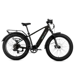 XPeak2 High-Step Long-Range eBike