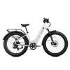 XPeak2 Step-Thru Long-Range eBike